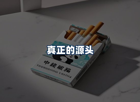 专业团队办公环境